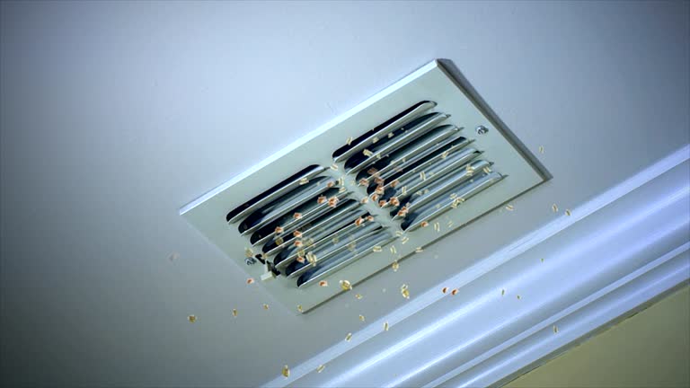 Best Affordable HVAC Duct Cleaning  in La Selva Beach, CA