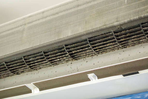 Best Local Air Duct Cleaning Services  in La Selva Beach, CA